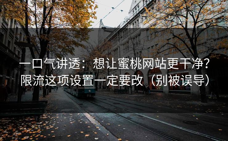 一口气讲透：想让蜜桃网站更干净？限流这项设置一定要改（别被误导）