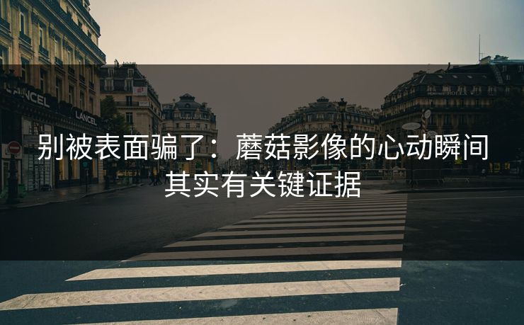 别被表面骗了：蘑菇影像的心动瞬间其实有关键证据